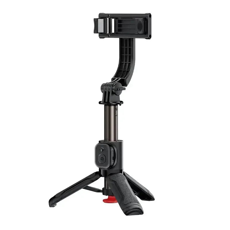 ACEFAST E43 Selfie Stick With Automatic Opening Tripod Black