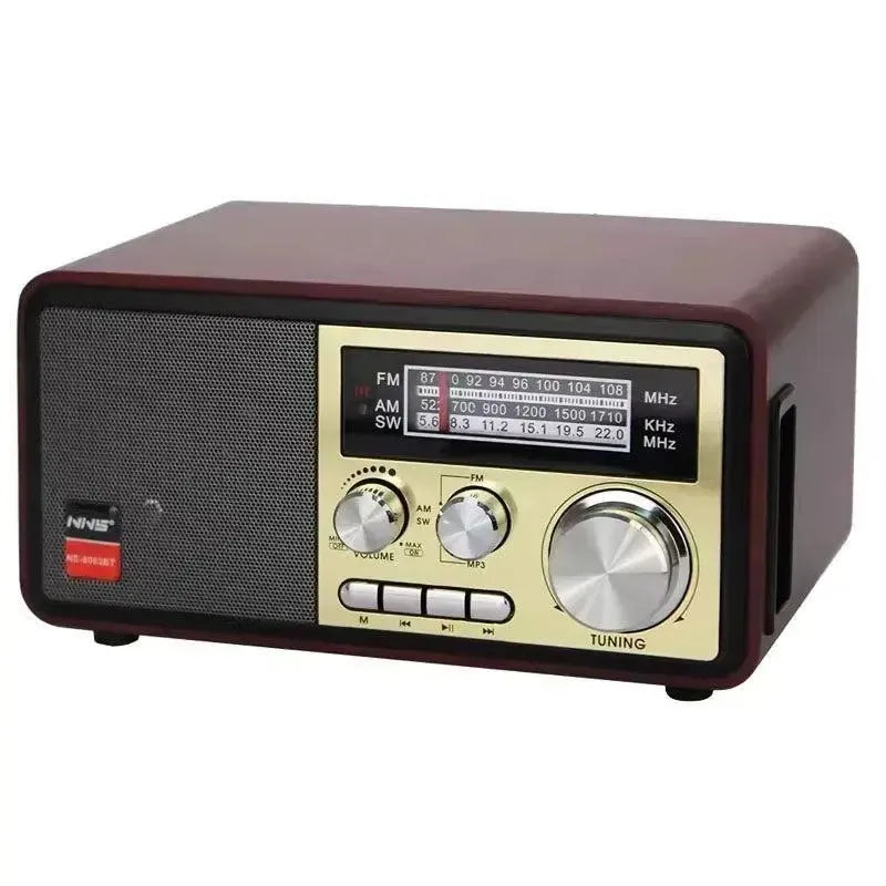 Raiseng NS-8093BT Portable Multi-Band BT Radio