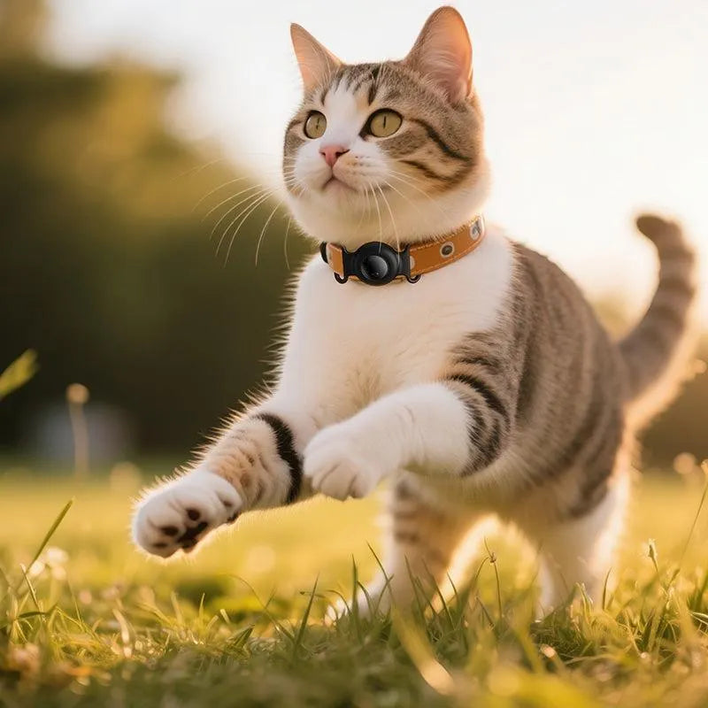 Hoco E91C Pet Collar Intelligent Positioning Anti-Lost Device White
