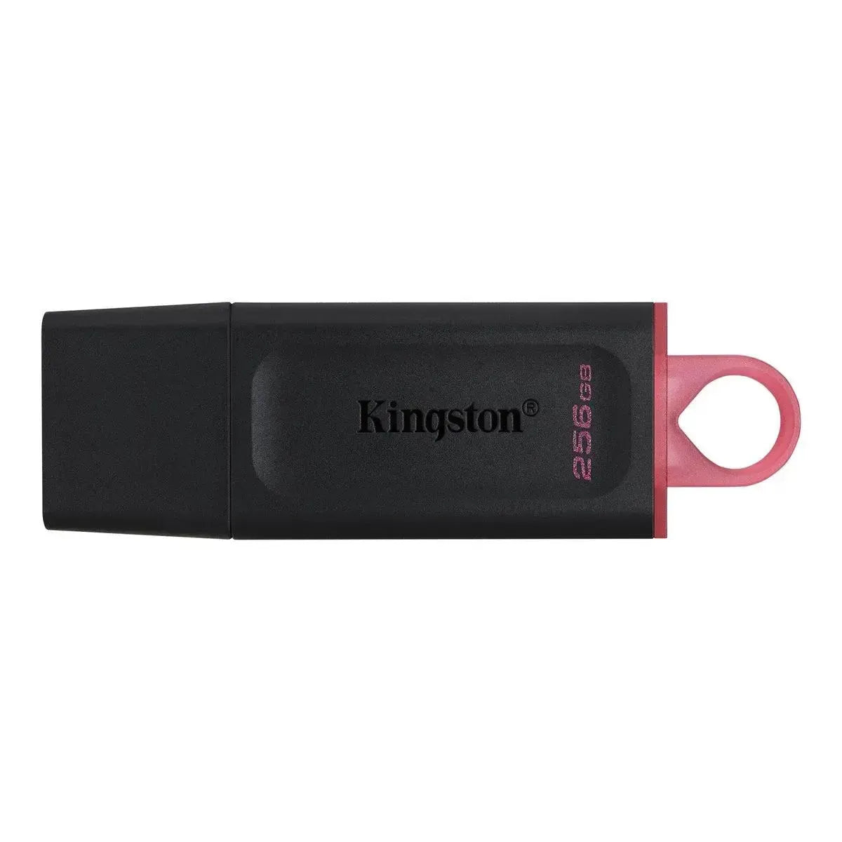 Kingston USB 3.2 Gen Flash Drive 256GB Black & Pink