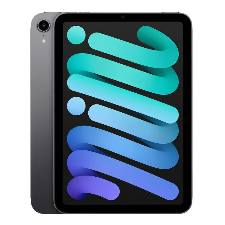 iPad Mini 2021 Screen Repair