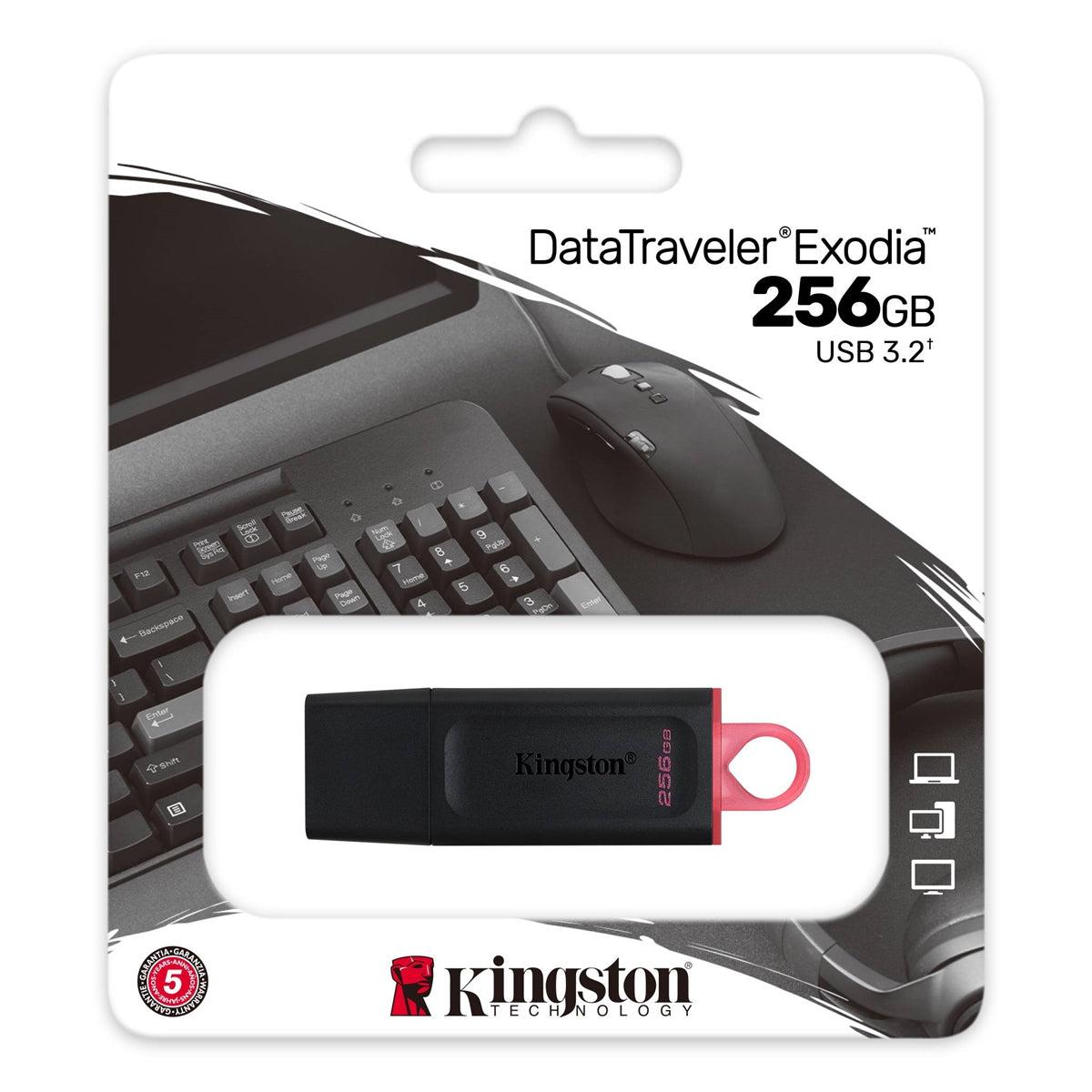 Kingston (USB) 3.2 Gen 1 Flash Drive 256GB Black & Pink-Memory Cards & SSD-First Help Tech
